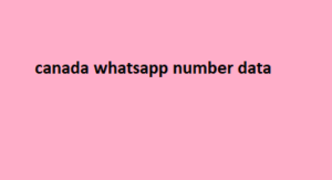 canada whatsapp number data